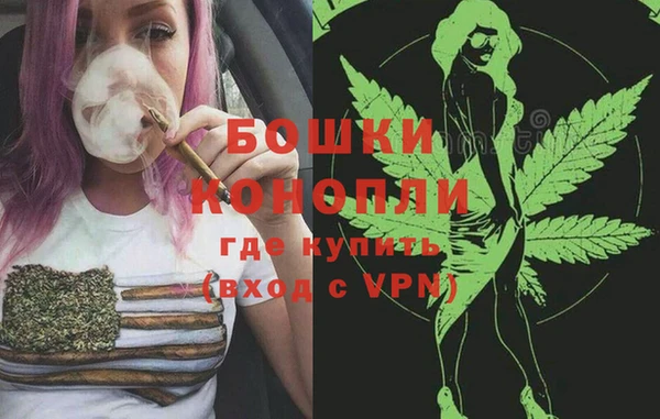 бошки Богданович