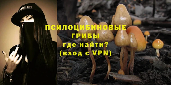 бошки Богданович