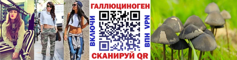 Псилоцибиновые грибы мицелий  Купить где  Бокситогорск 
